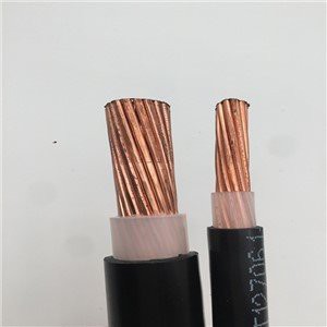 600V Copper Conductor Hmwpe Insulation PVDF Sheath Cable